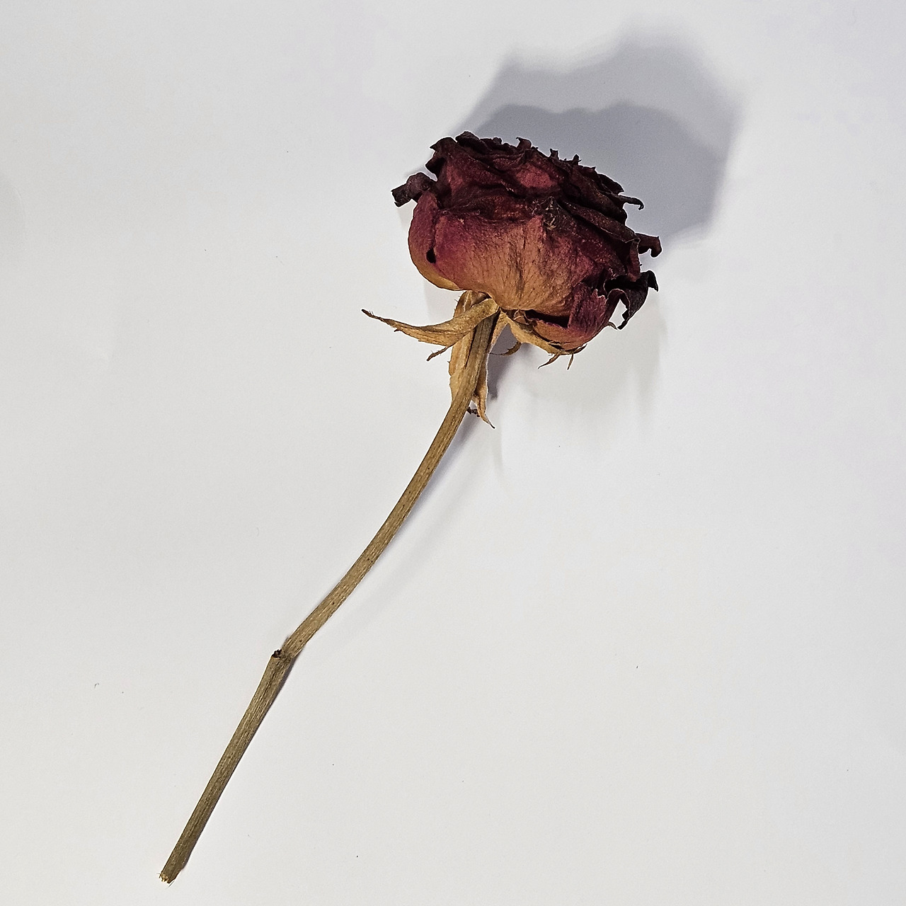 23_너와 나이기 때문에.jpg