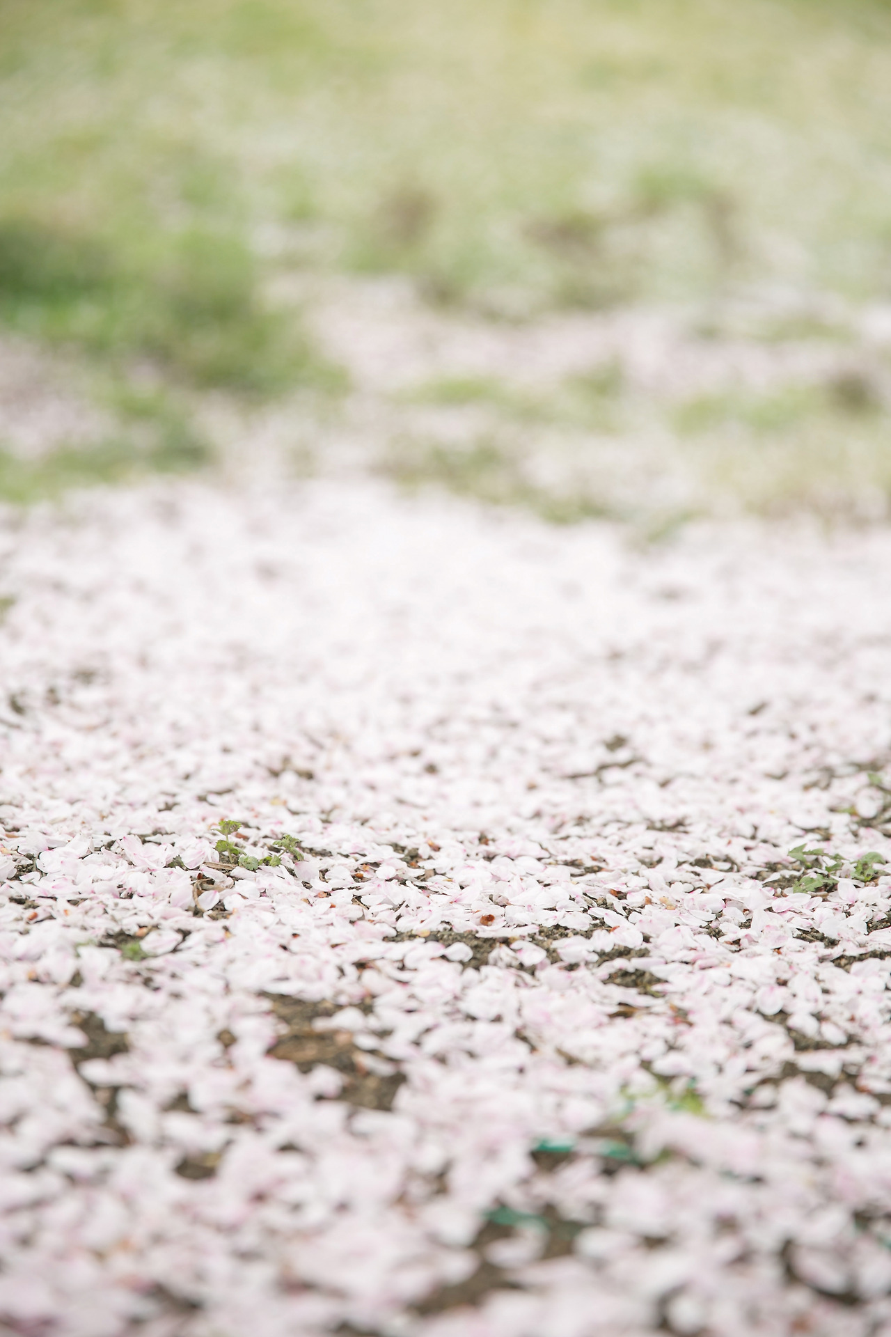 43_어쩔 수 없는.jpg