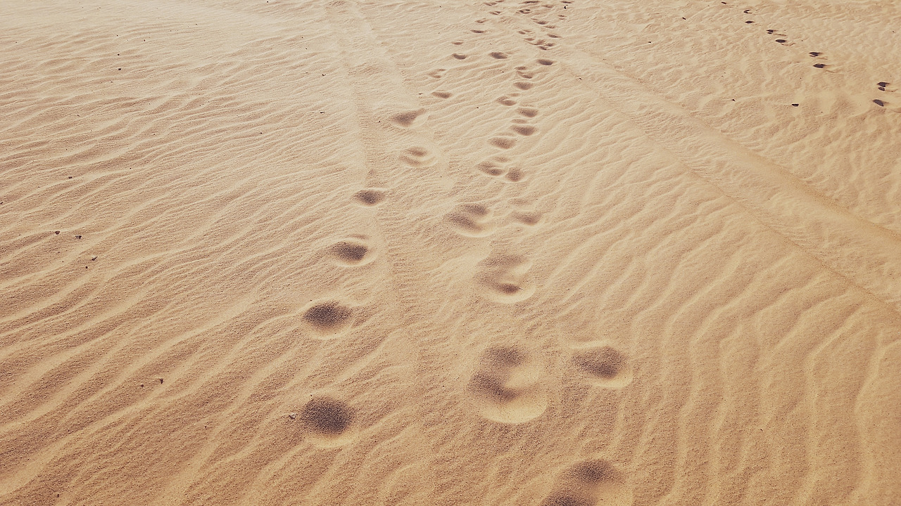 46_시간에 뒷걸음이 없는 이유.jpg