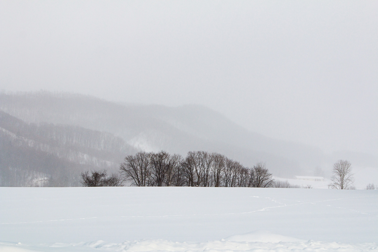 09_사랑과의 첫 조우.jpg