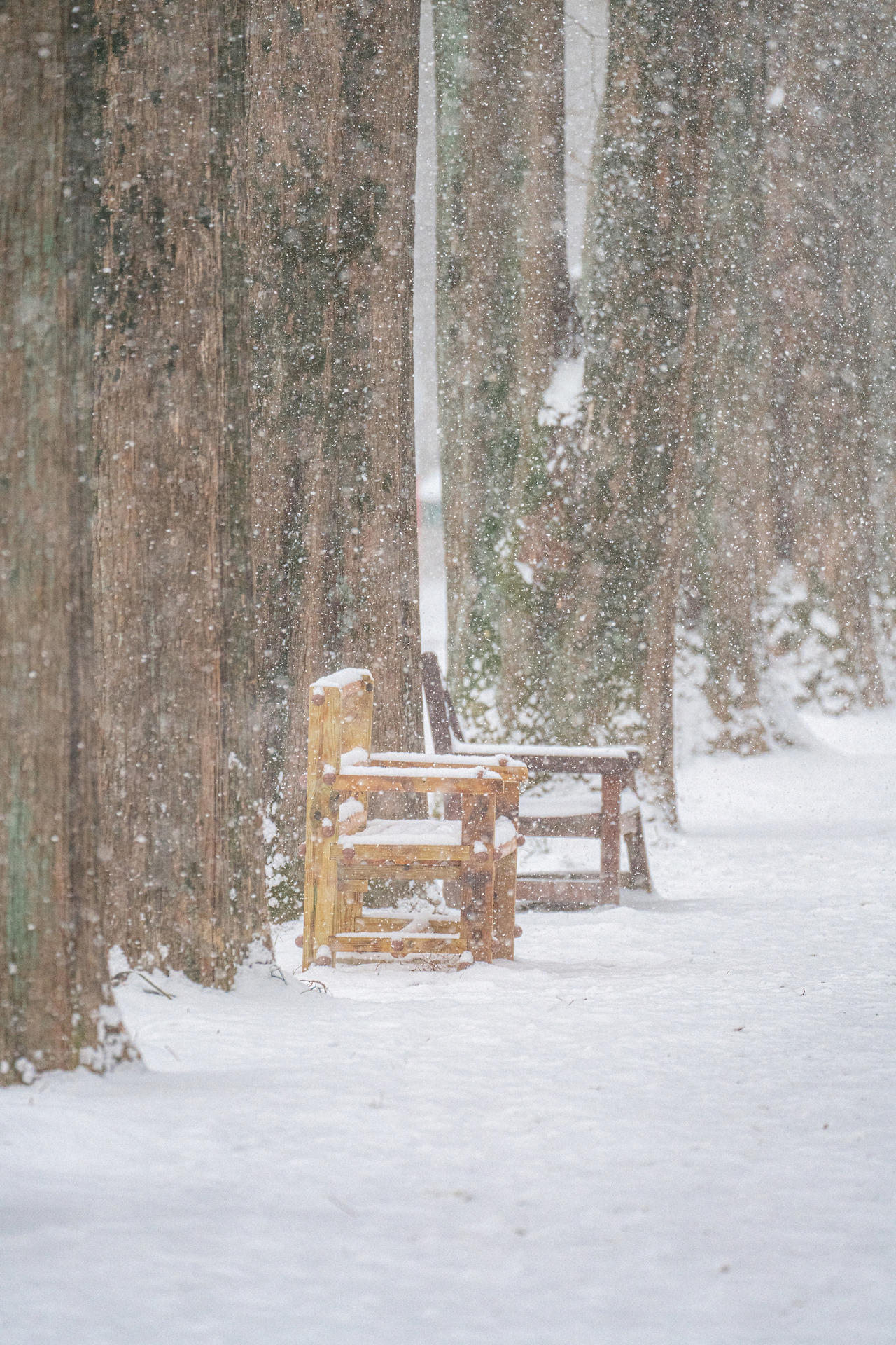 06_침묵의 동의어.jpg