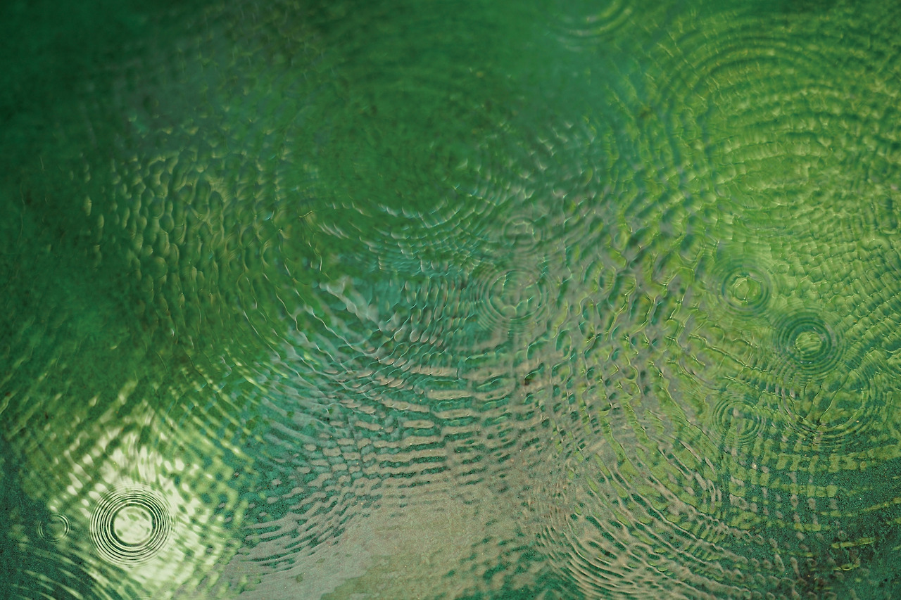 13영원한 여름.jpg