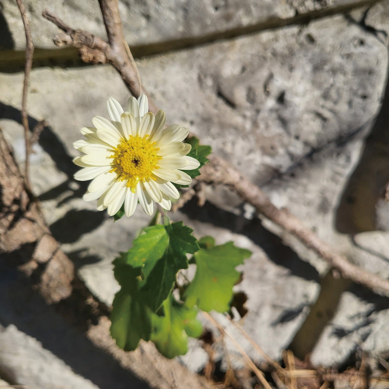 33_너의 이유.jpg