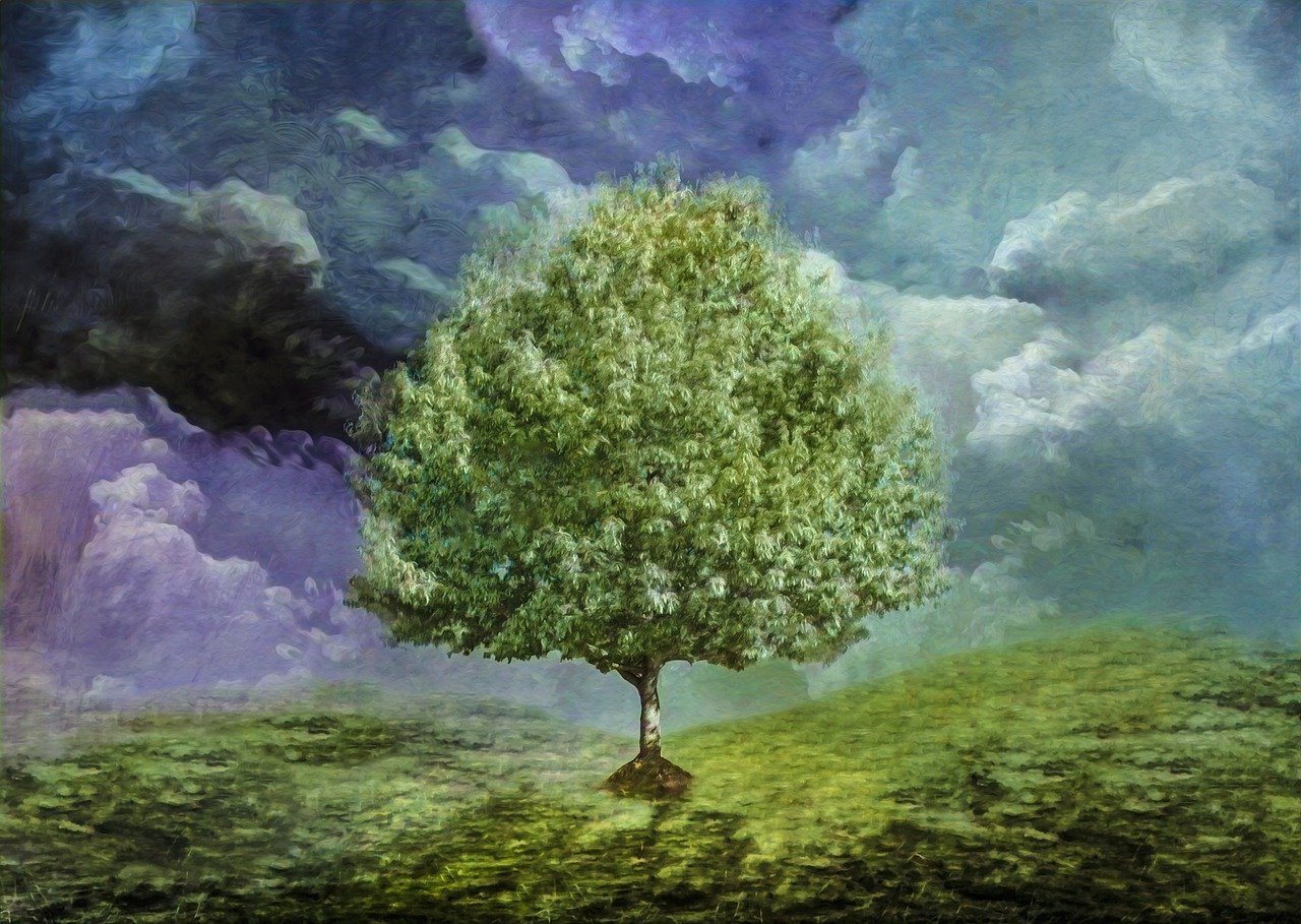 2026갑목일간운세 (2).jpg