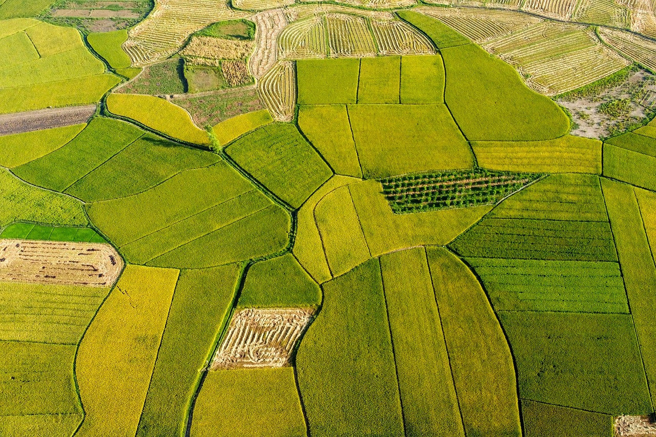 2026기토일간운세 (1).jpg