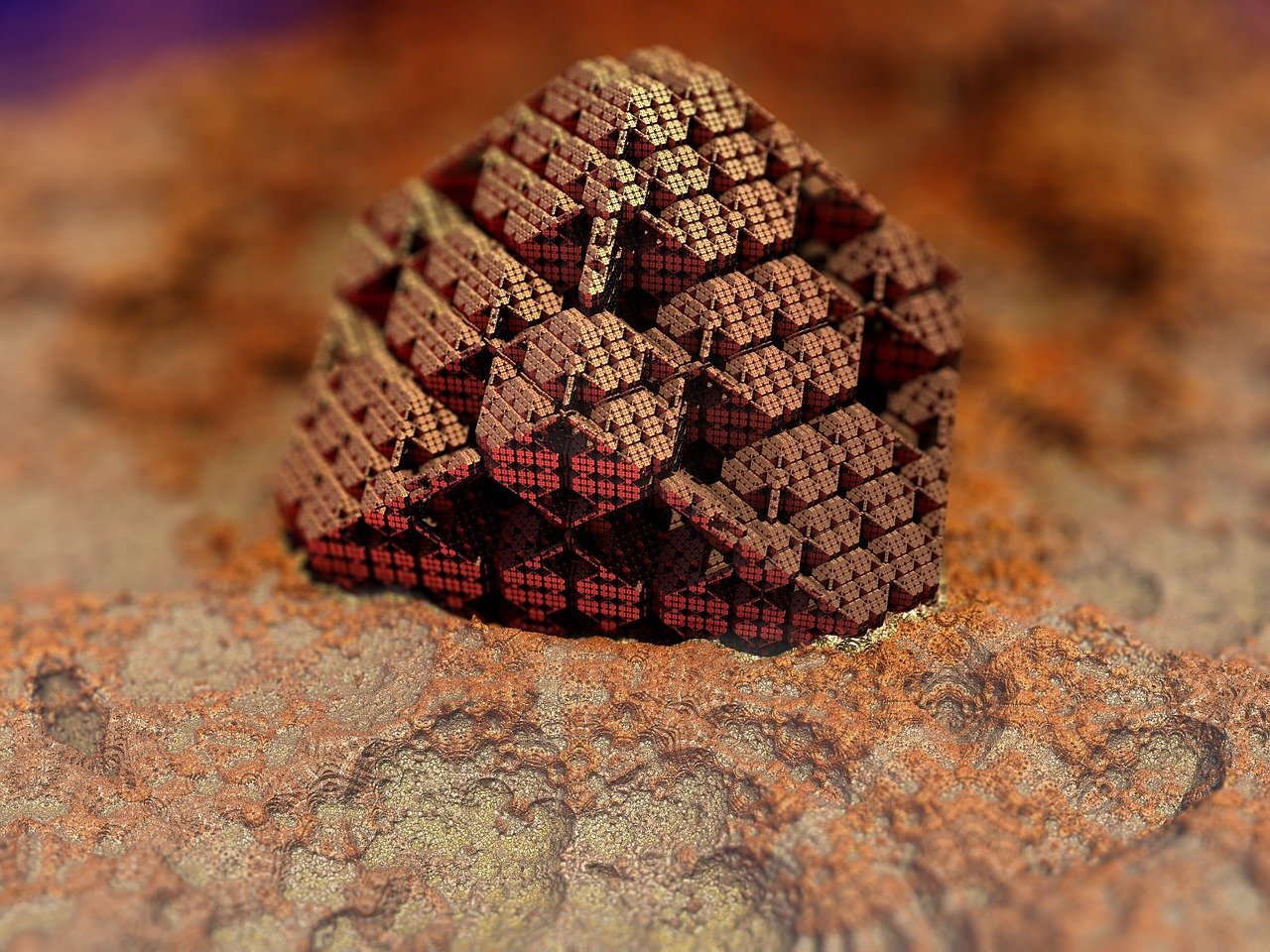 경금남자 (2).jpg