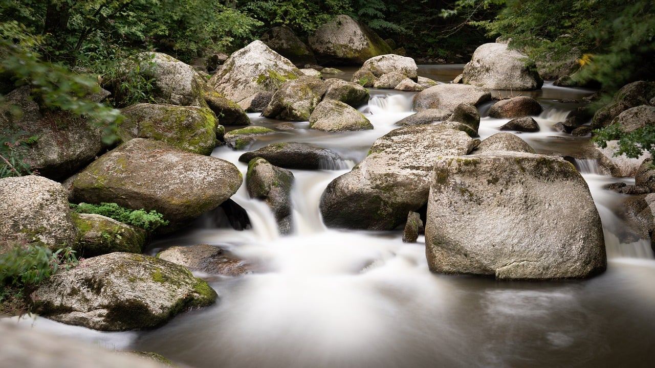 2026계수일간운세 (2).jpg