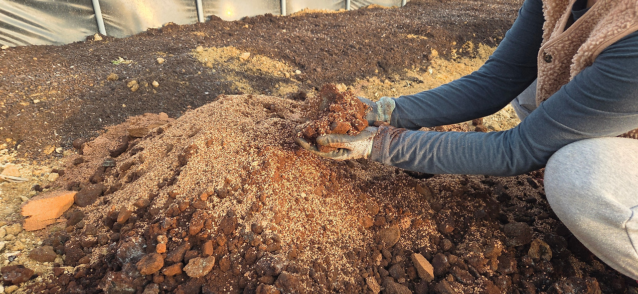 260214 퇴비만들고뿌리기 (6).jpg