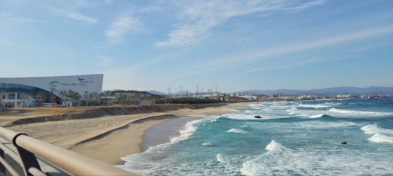 250130 국립해양과학관 (6).jpg