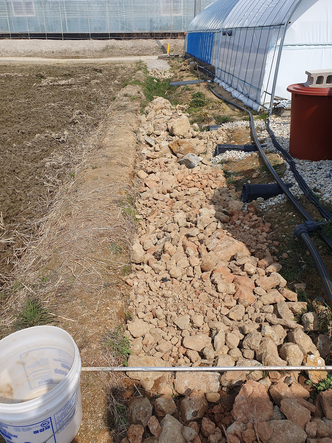 260327 울진밭(밭에서 골라낸 돌로 배수로 메꾸기).jpg