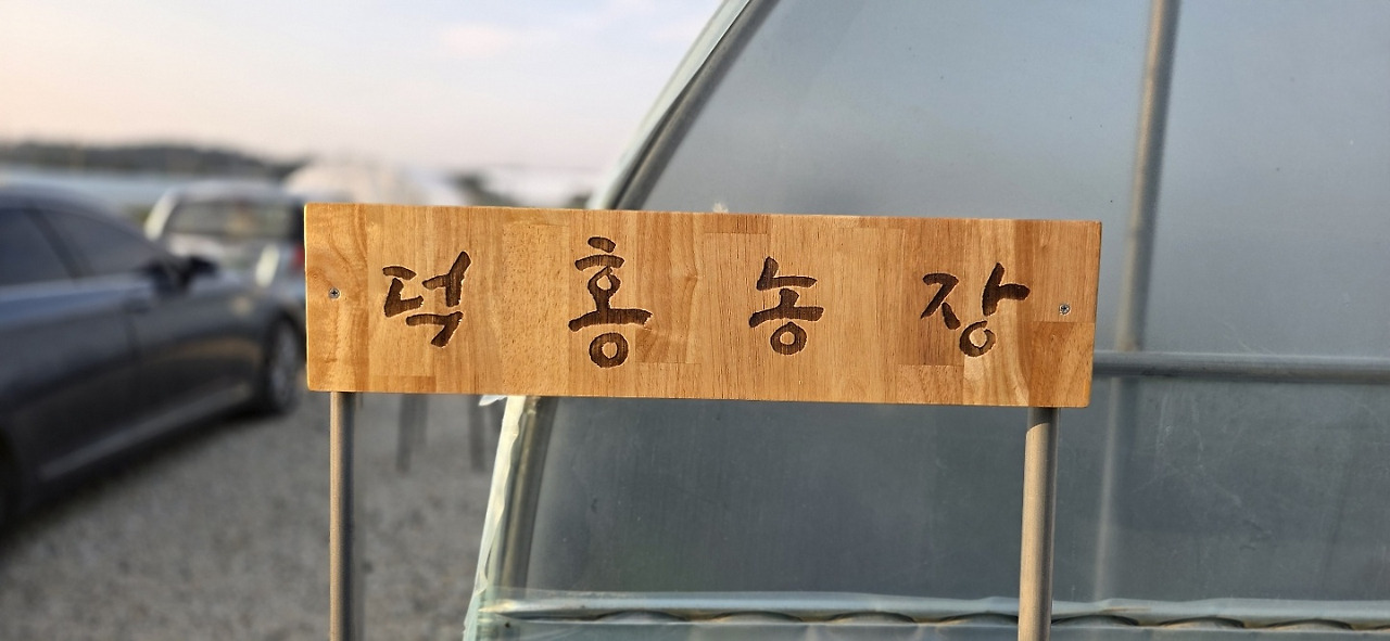 250601 울진밭(덕홍농장).jpg