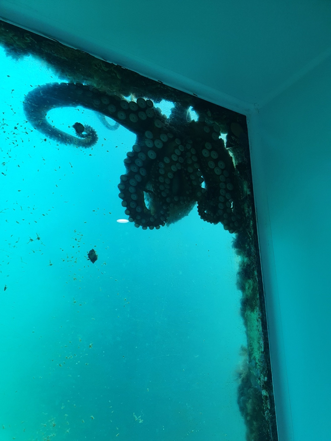 250130 국립해양과학관 (2).jpg