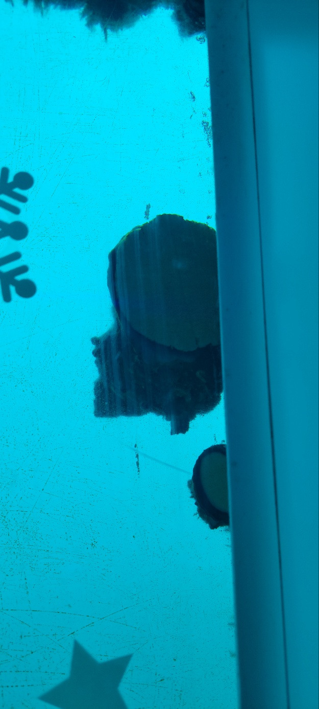 250130 국립해양과학관 (3).jpg