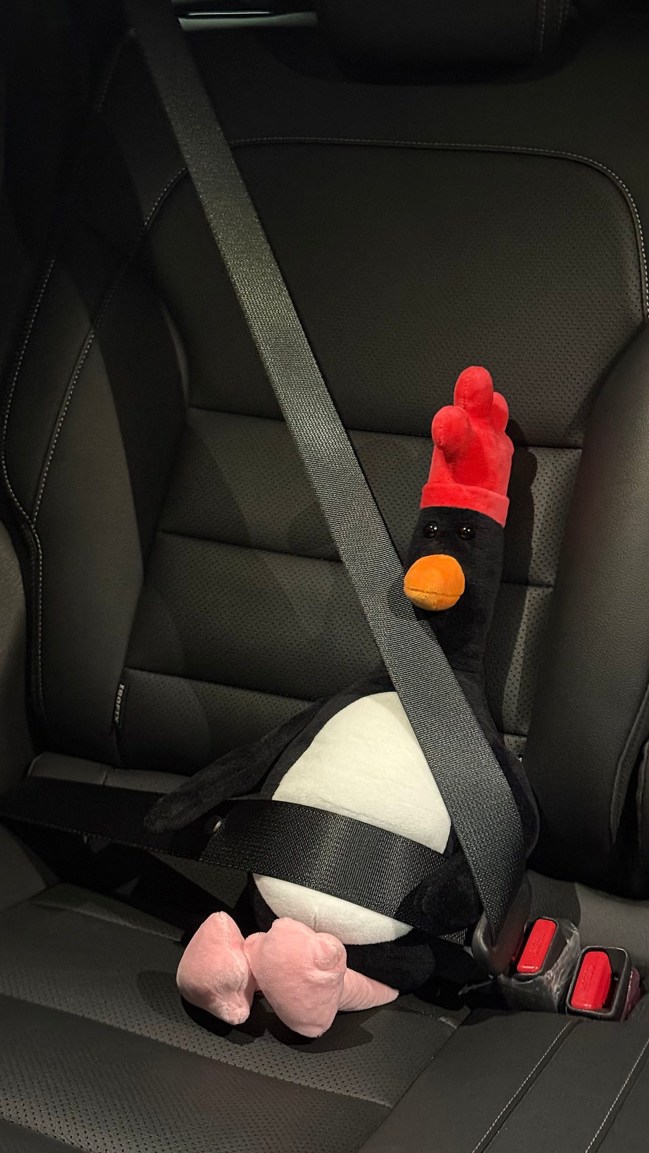 260320 유진차(뒷좌석 인형).jpg