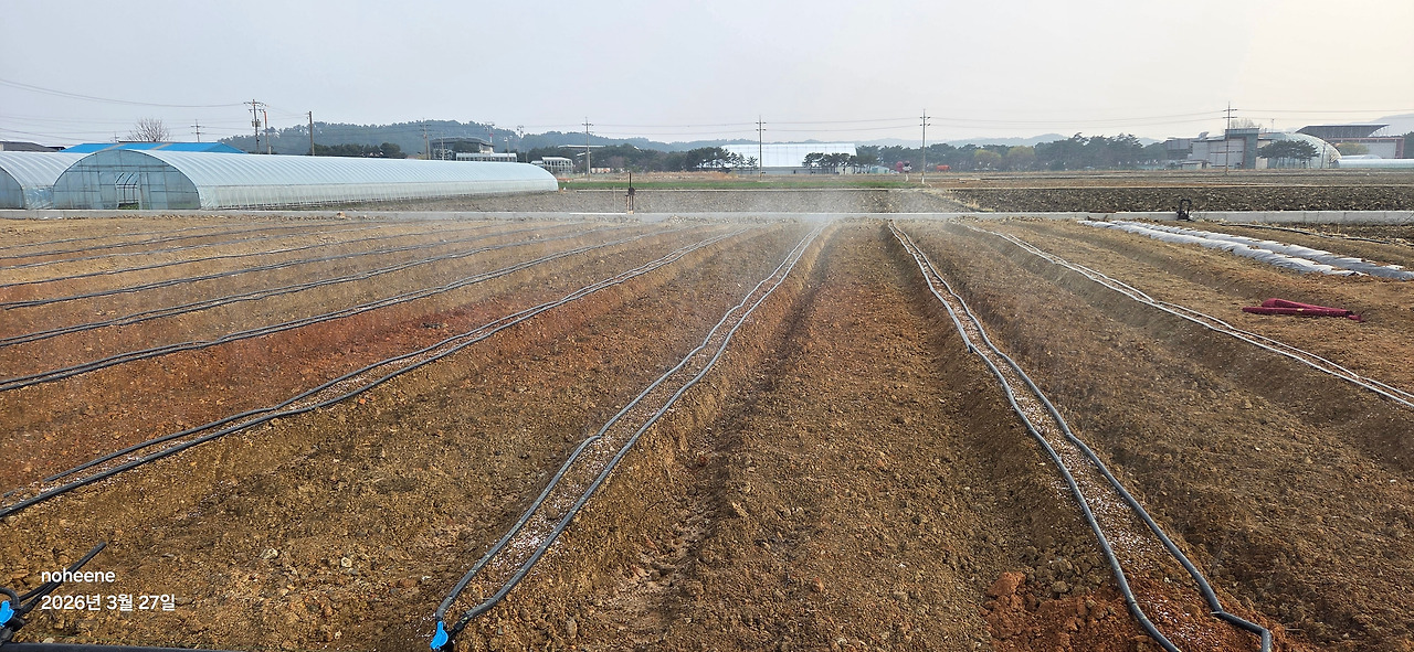 260327 울진밭(점적호스자동관수 시험가동).jpg