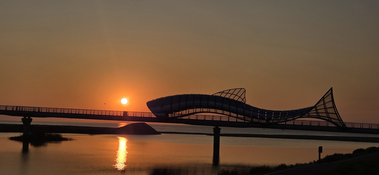 260223 동해바다(7).jpg