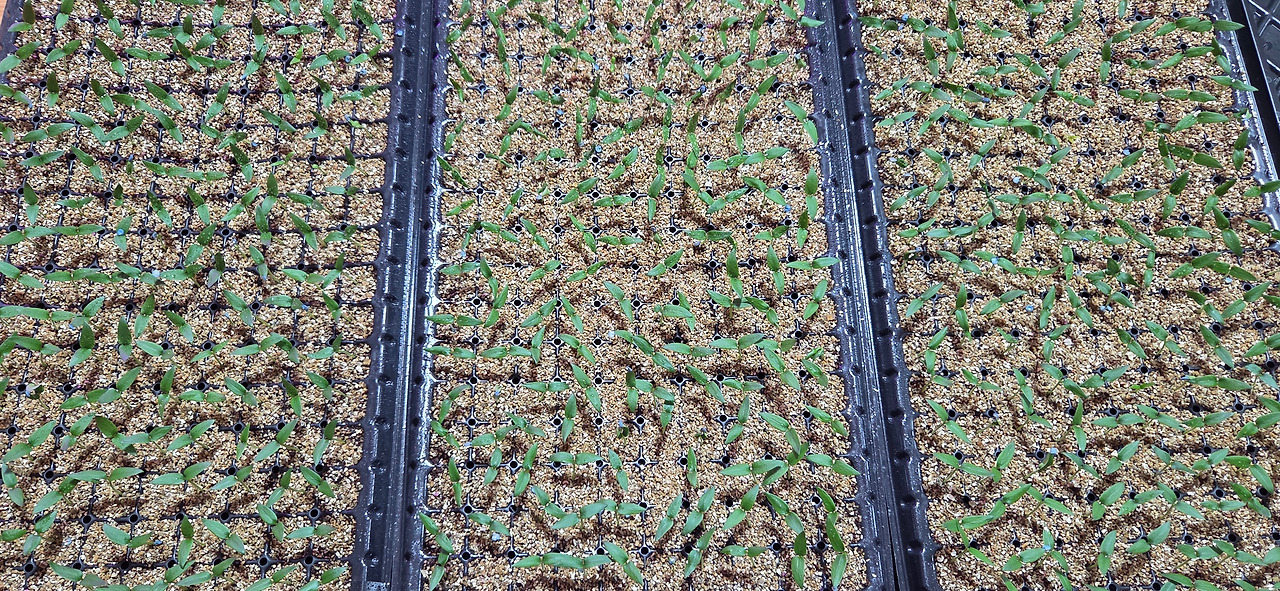 260211 오마이뉴스 (4).jpg