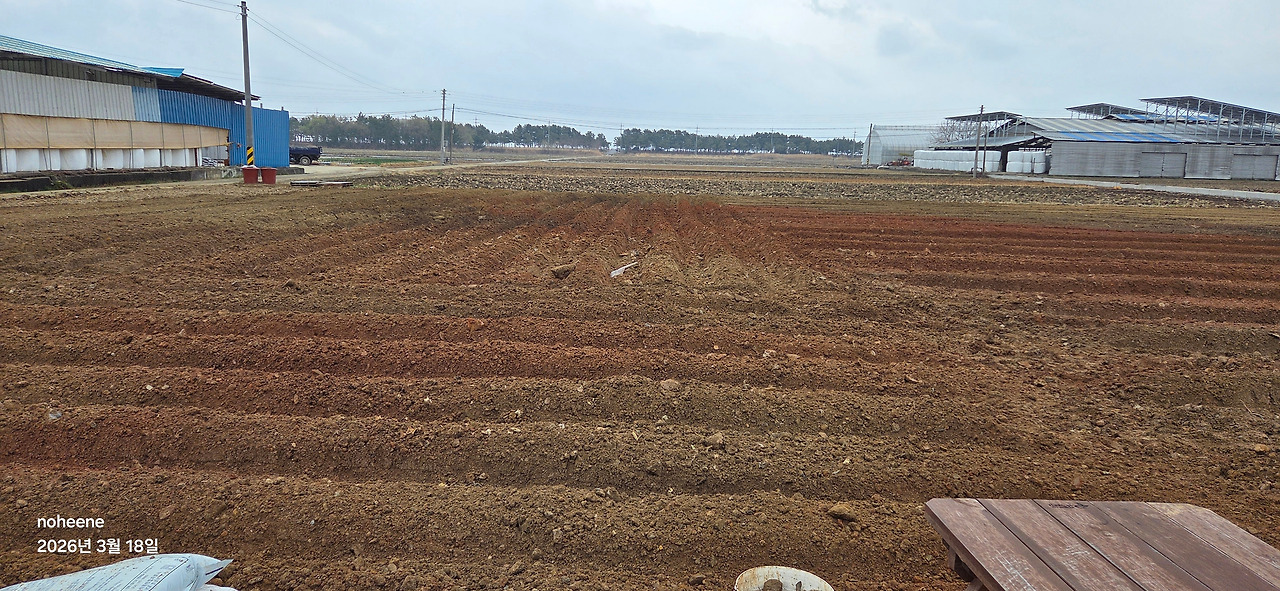 260318 울진밭(로터리,두둑작업후(최종).jpg
