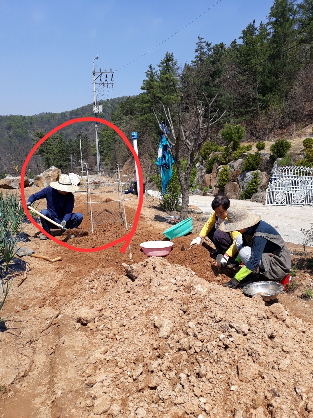 260318 울진밭(양평에서 흙체만들던추억).jpg