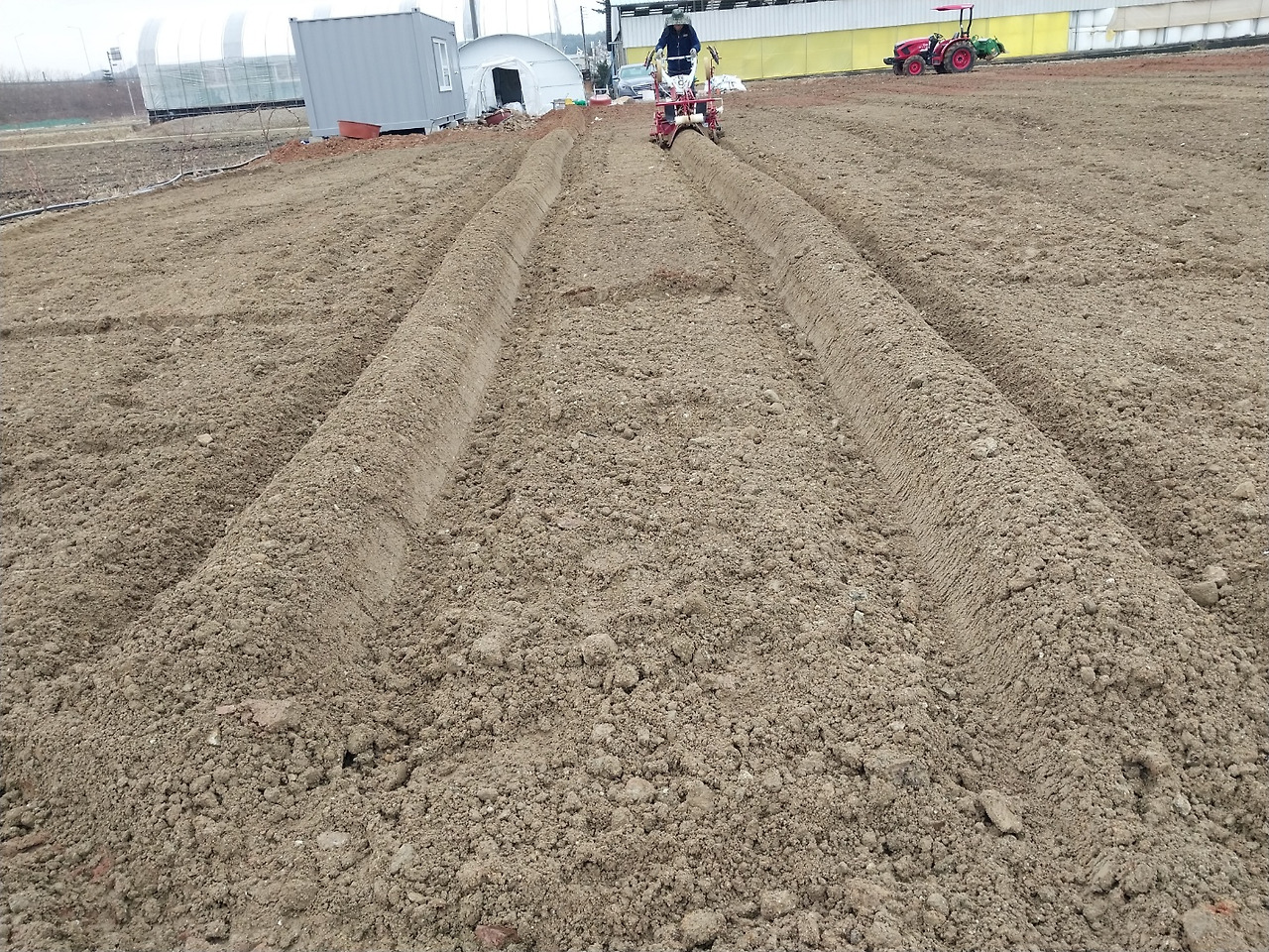 260318 울진밭(관리기작업중인남편).jpg