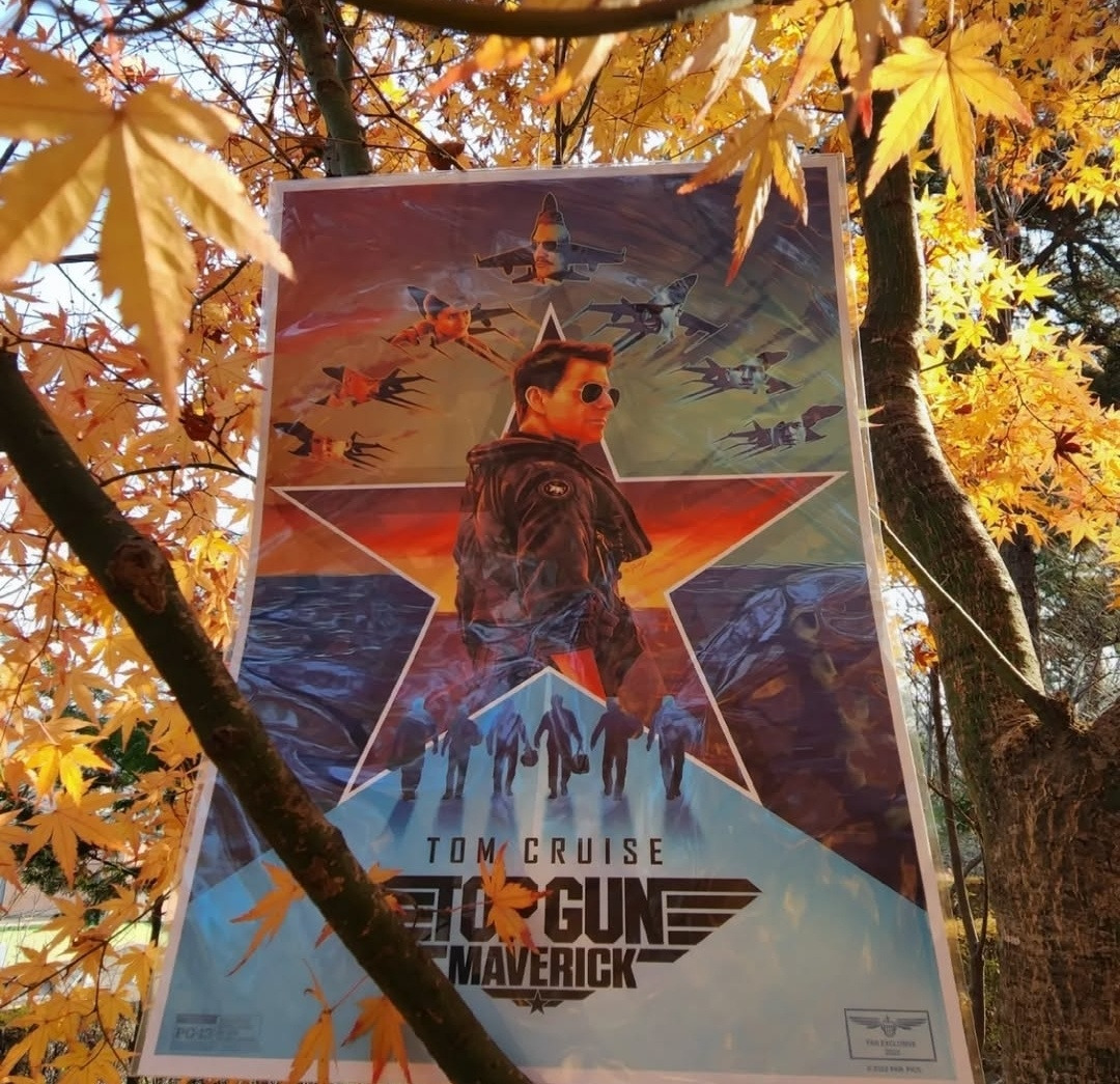 KakaoTalk_20250324_174120567_02 - 복사본.jpg