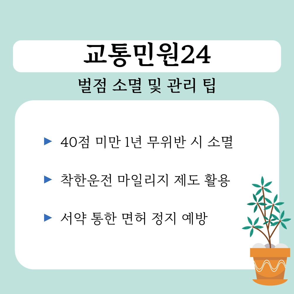 03. 벌점 소멸 및 관리 팁.jpg