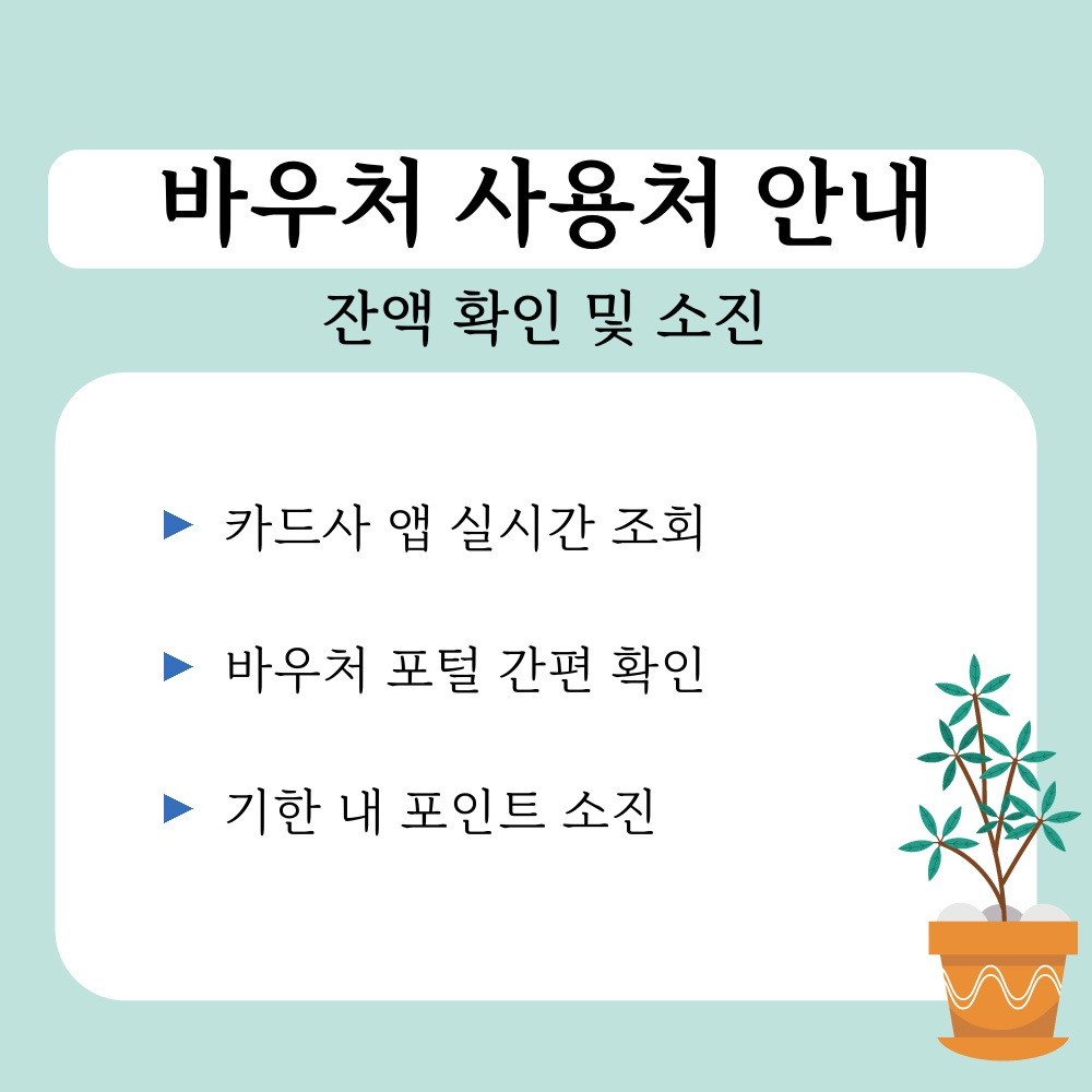 03. 잔액 확인 및 소진.jpg