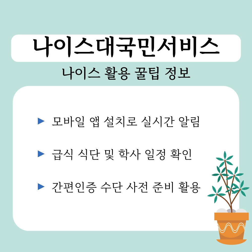 03. 나이스 활용 꿀팁 정보.jpg