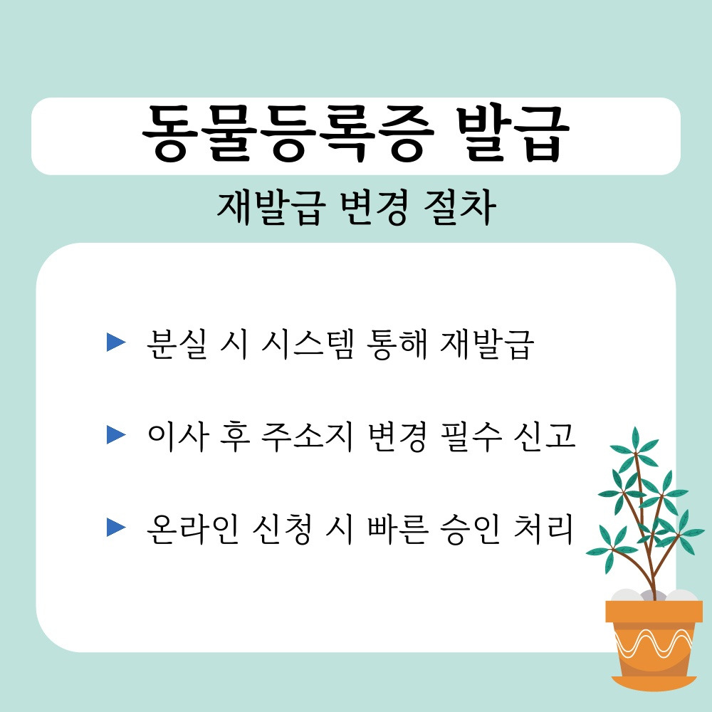 03. 재발급 변경 절차.jpg