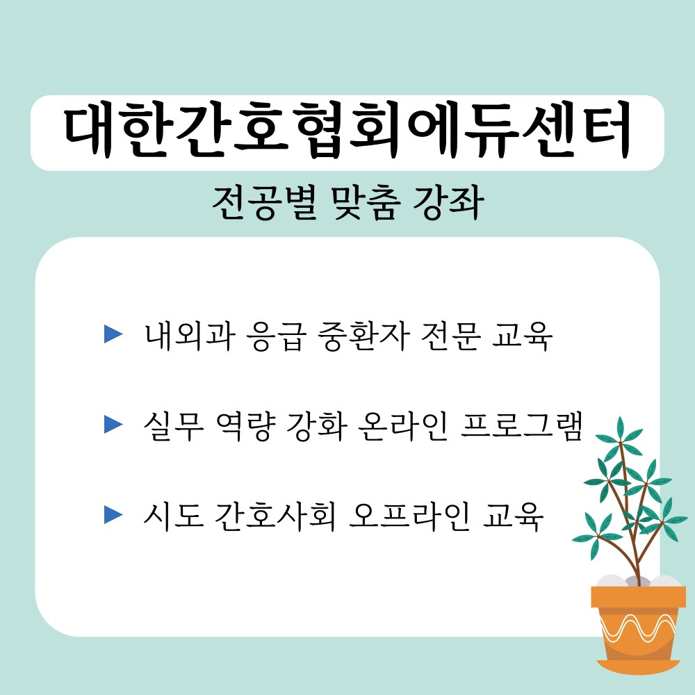 02. 전공별 맞춤 강좌.jpg