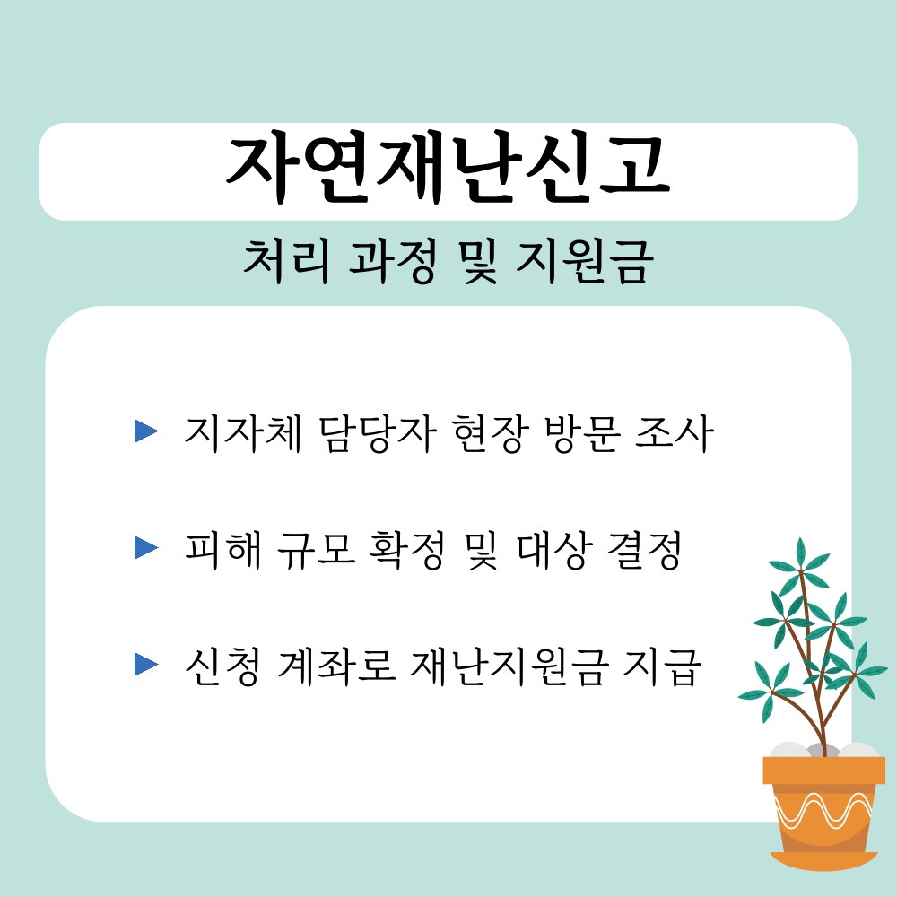 03. 처리 과정 및 지원금.jpg