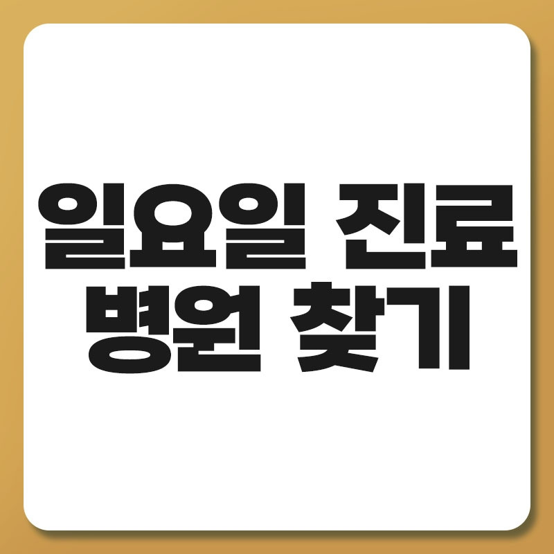 일요일 진료 병원 찾기.jpg