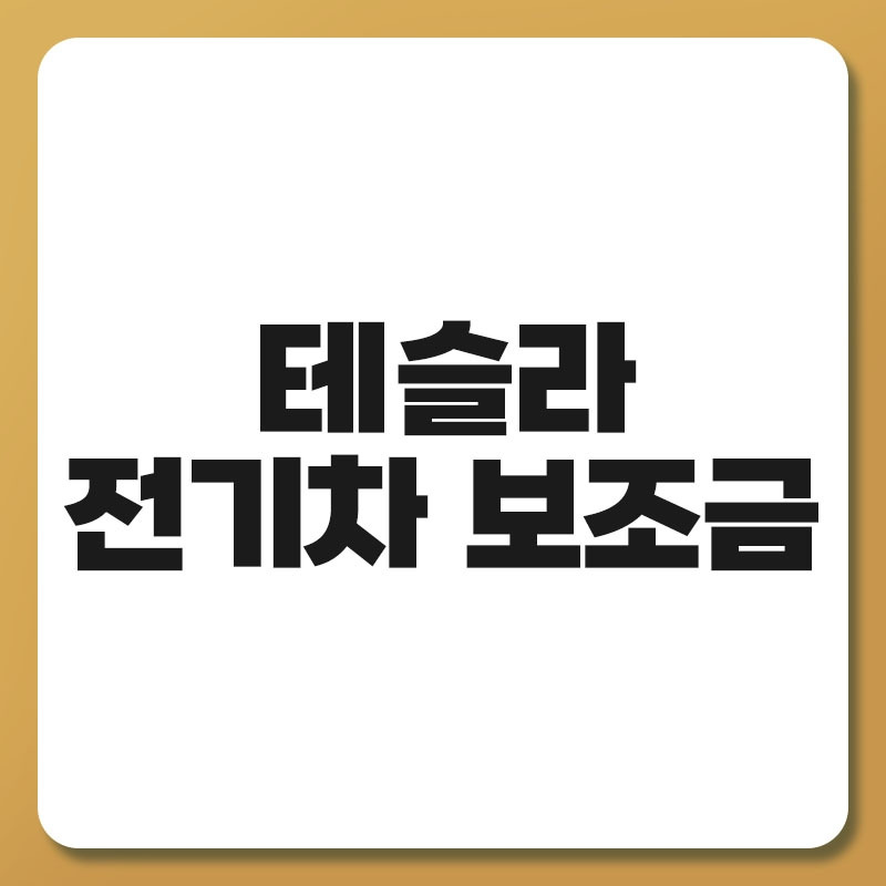 테슬라 전기차 보조금.jpg