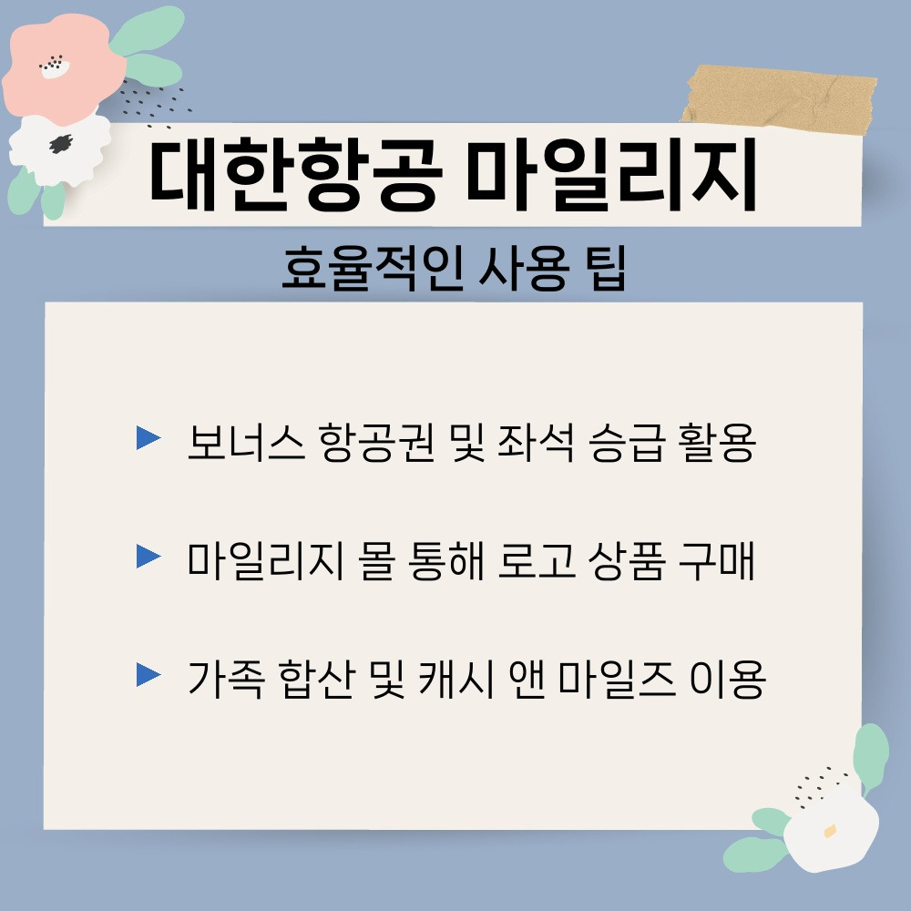 02. 효율적인 사용 팁.jpg