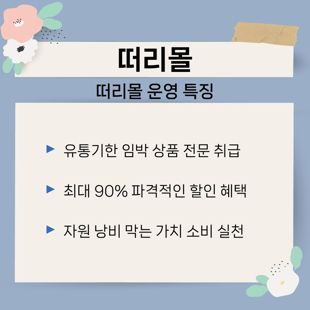 01. 떠리몰 운영 특징.jpg