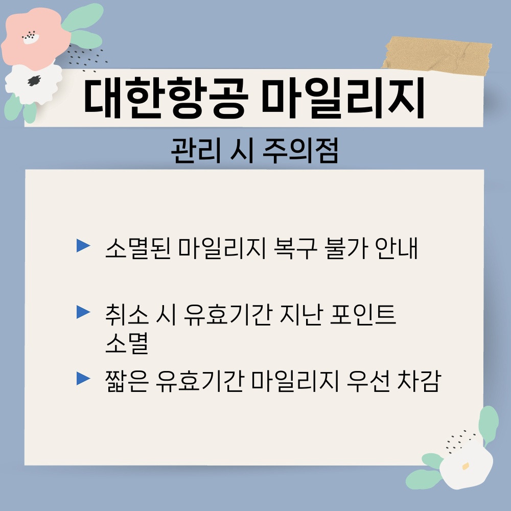 03. 관리 시 주의점.jpg