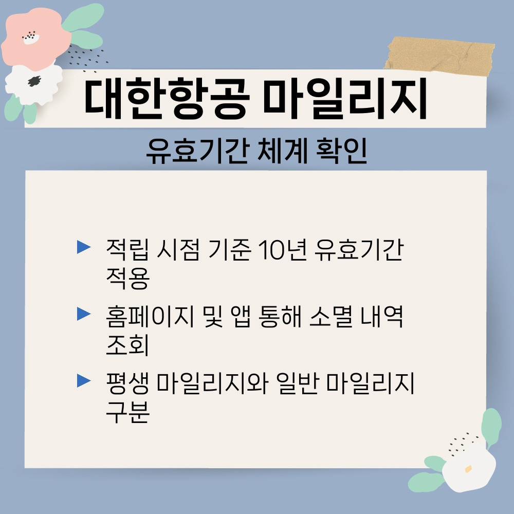 01. 유효기간 체계 확인.jpg