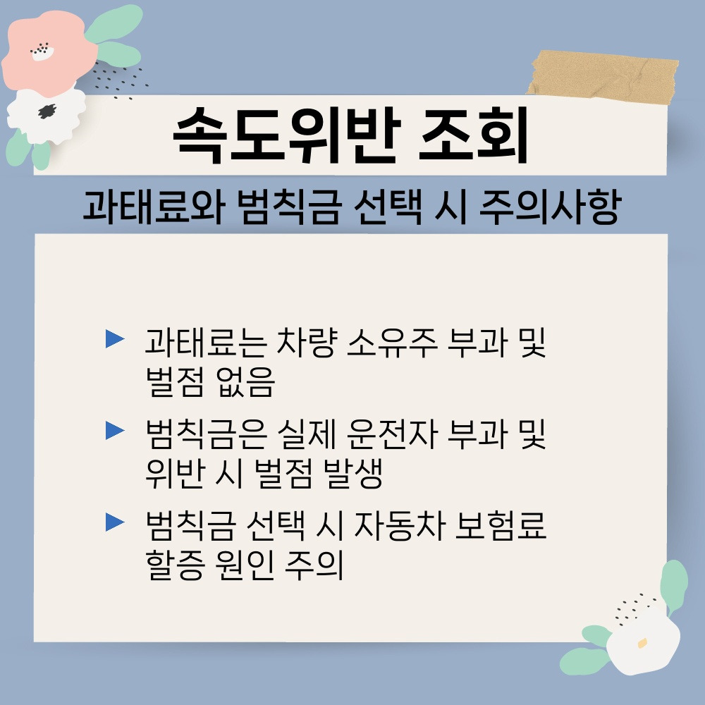 03. 과태료와 범칙금 선택 시 주의사항.jpg