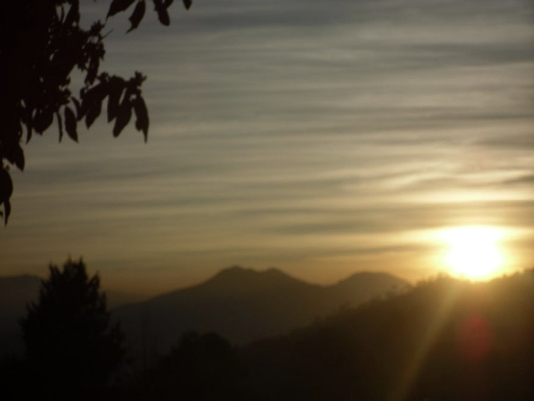 1. 수련의 길 위에서.jpg