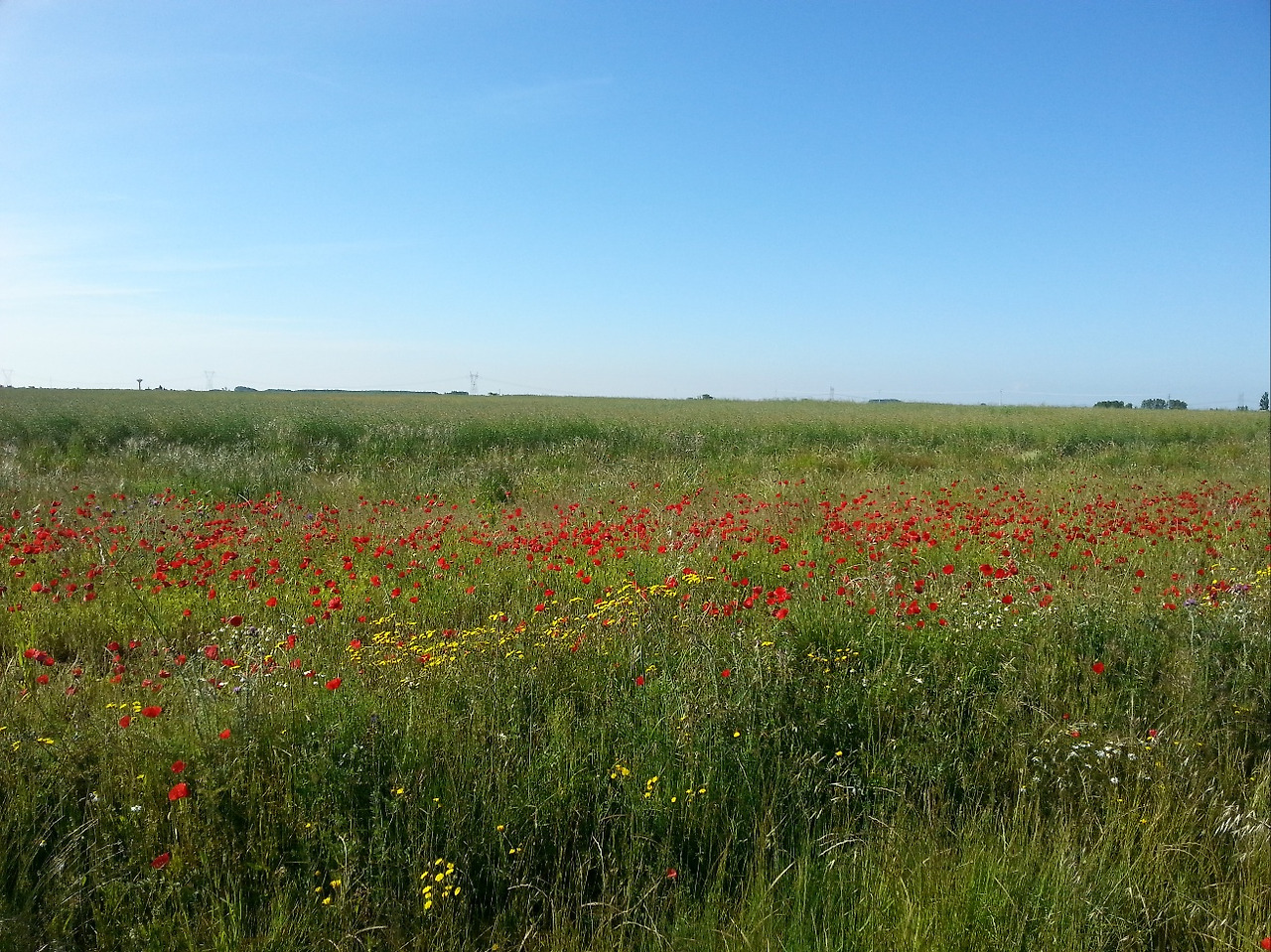 2. 삶의 계절.jpg