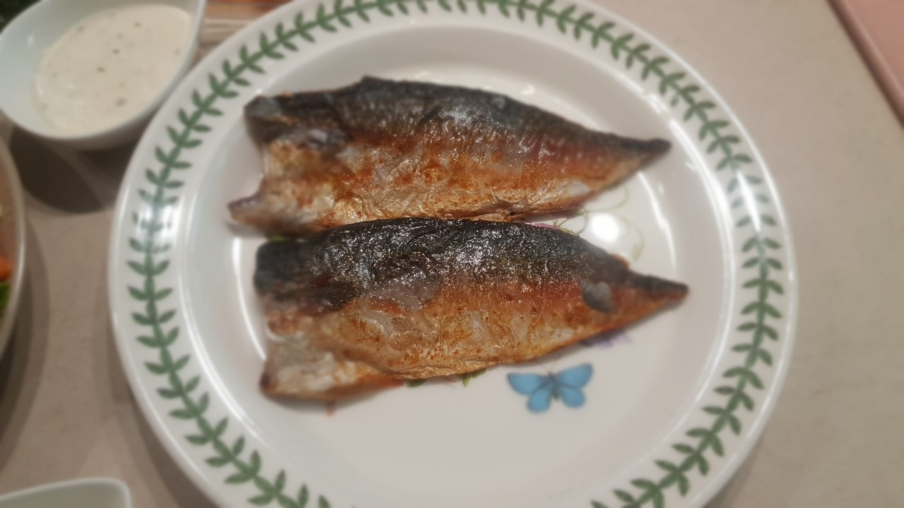 나의 보물창고, Kevin's World_사진_20260329_5.jpg