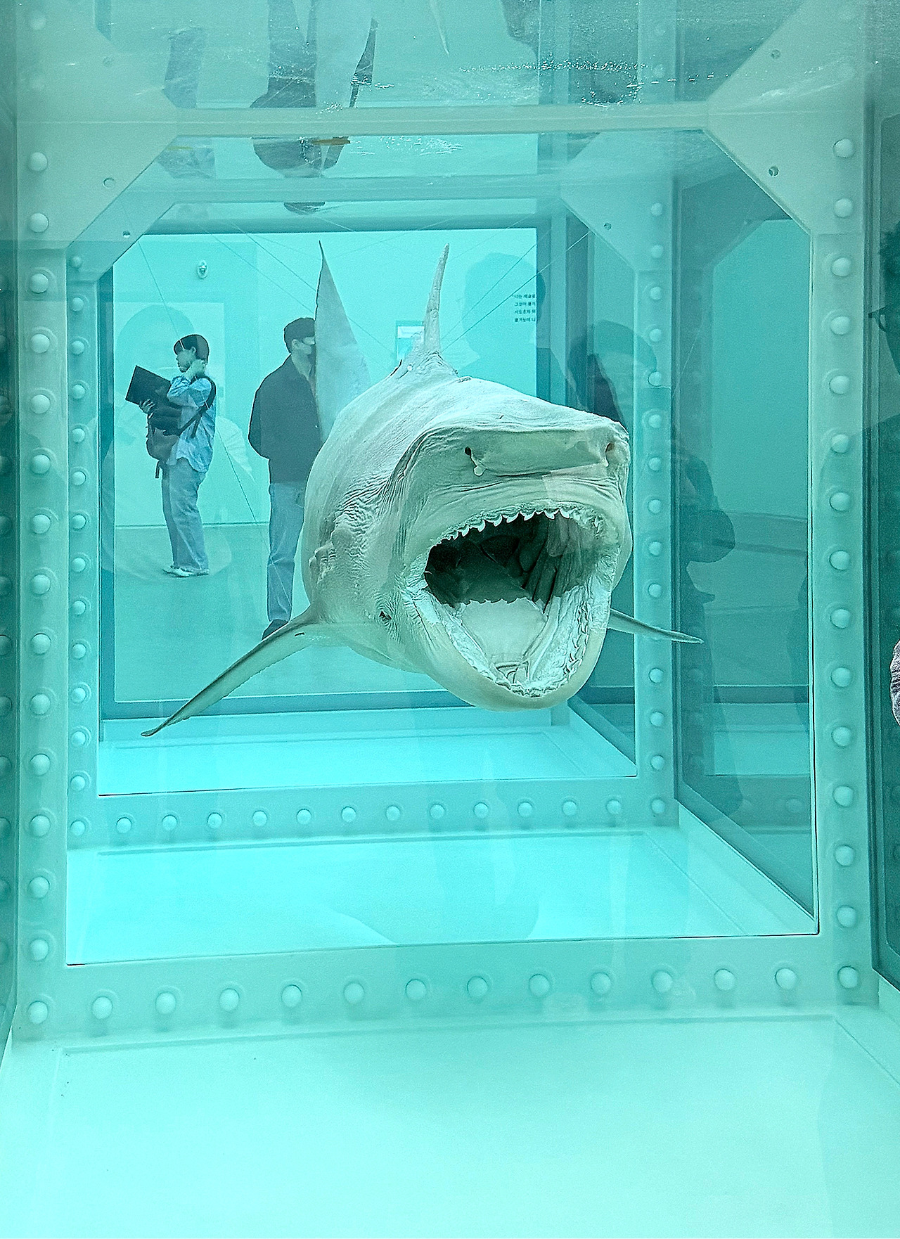 Hirst-039.jpg