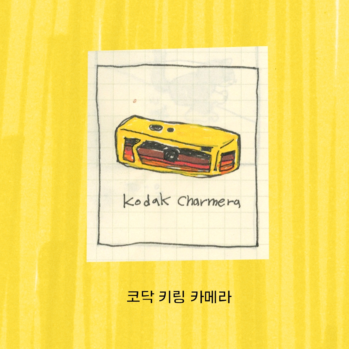 2026-0302-kodak chamera-crop-04.jpg
