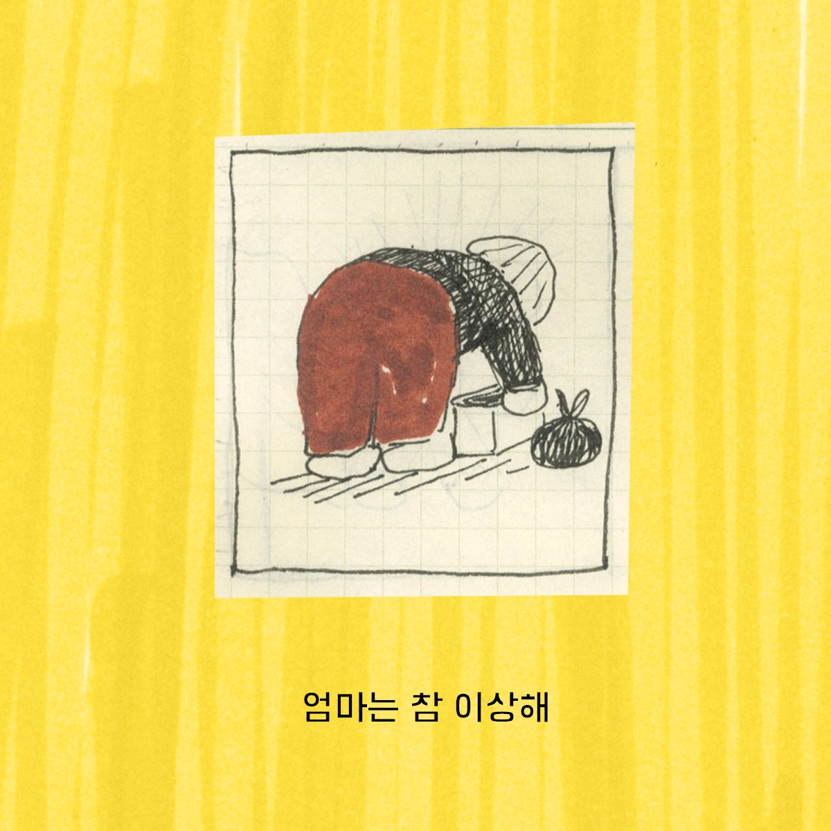 2026-0302-kodak chamera-crop-01.jpg