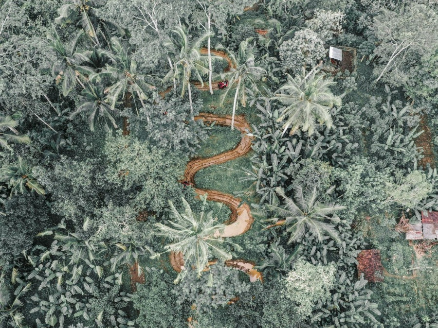 5발리 우붓 알라산 어드벤처 ATV 체험3.jpg