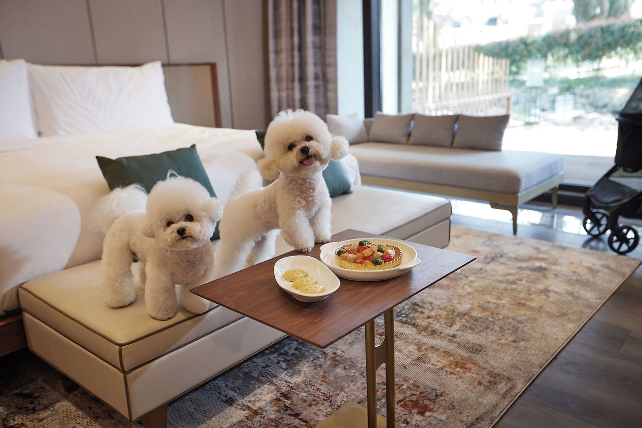 엠버 퓨어힐 호텔 앤 리조트 제주 (8).jpg