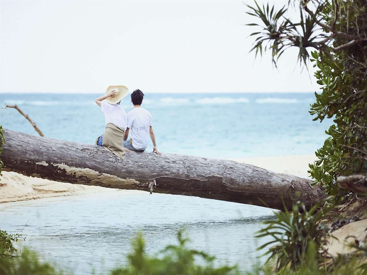 더레스케이프 (3).jpg