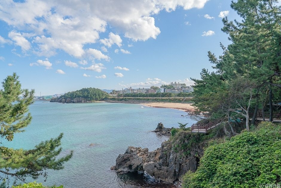 오션시티 레지던스호텔 동해 (15).jpg