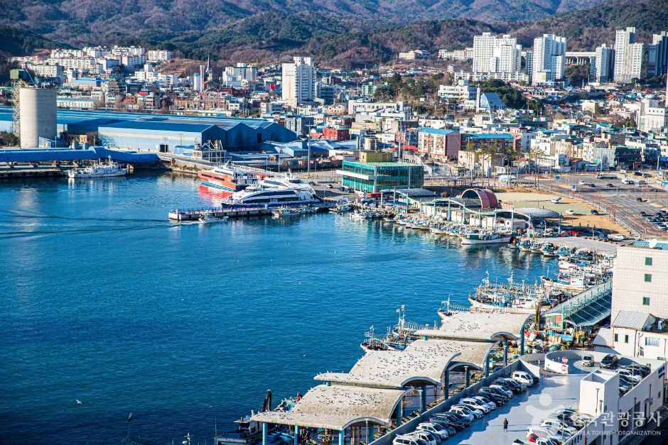 오션시티 레지던스호텔 동해 (14).jpg