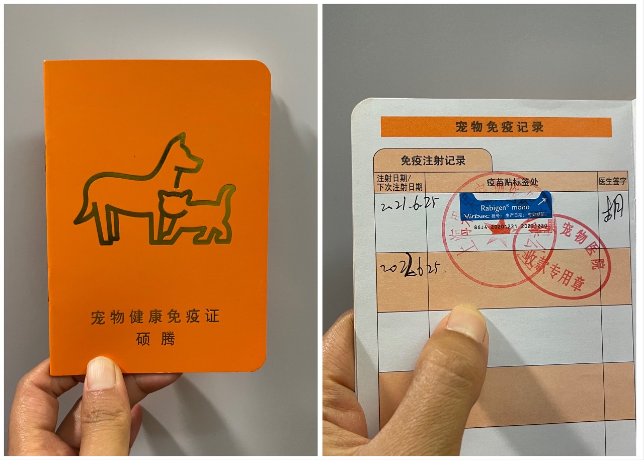 중국 상하이에서 한국으로 강아지 데리고 출국하기
